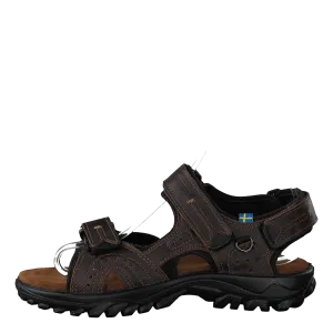 5640506-04 Dark Brown