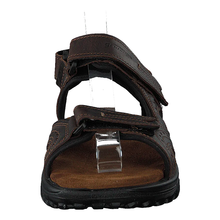 5640506-04 Dark Brown