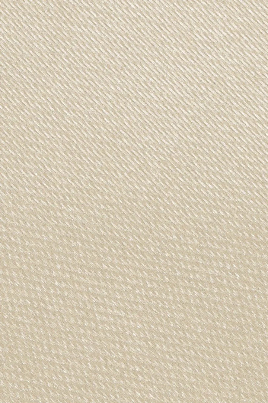 Champagne Eternity Necktie