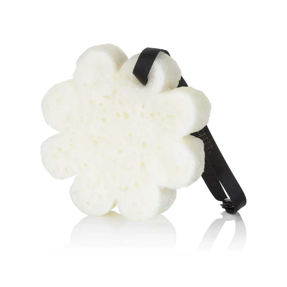 Coconut Verbana | Boxed Flower