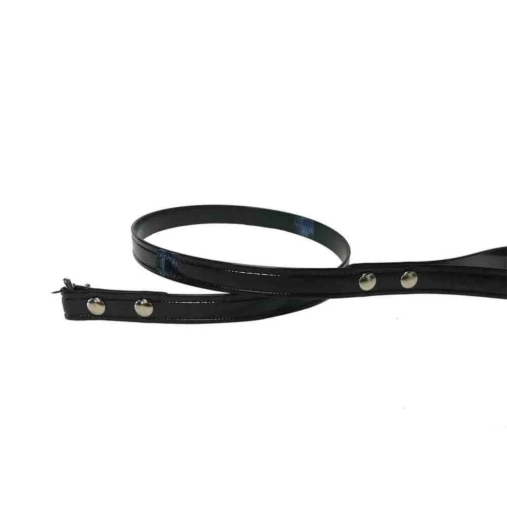 Hydro Waterproof Leashes