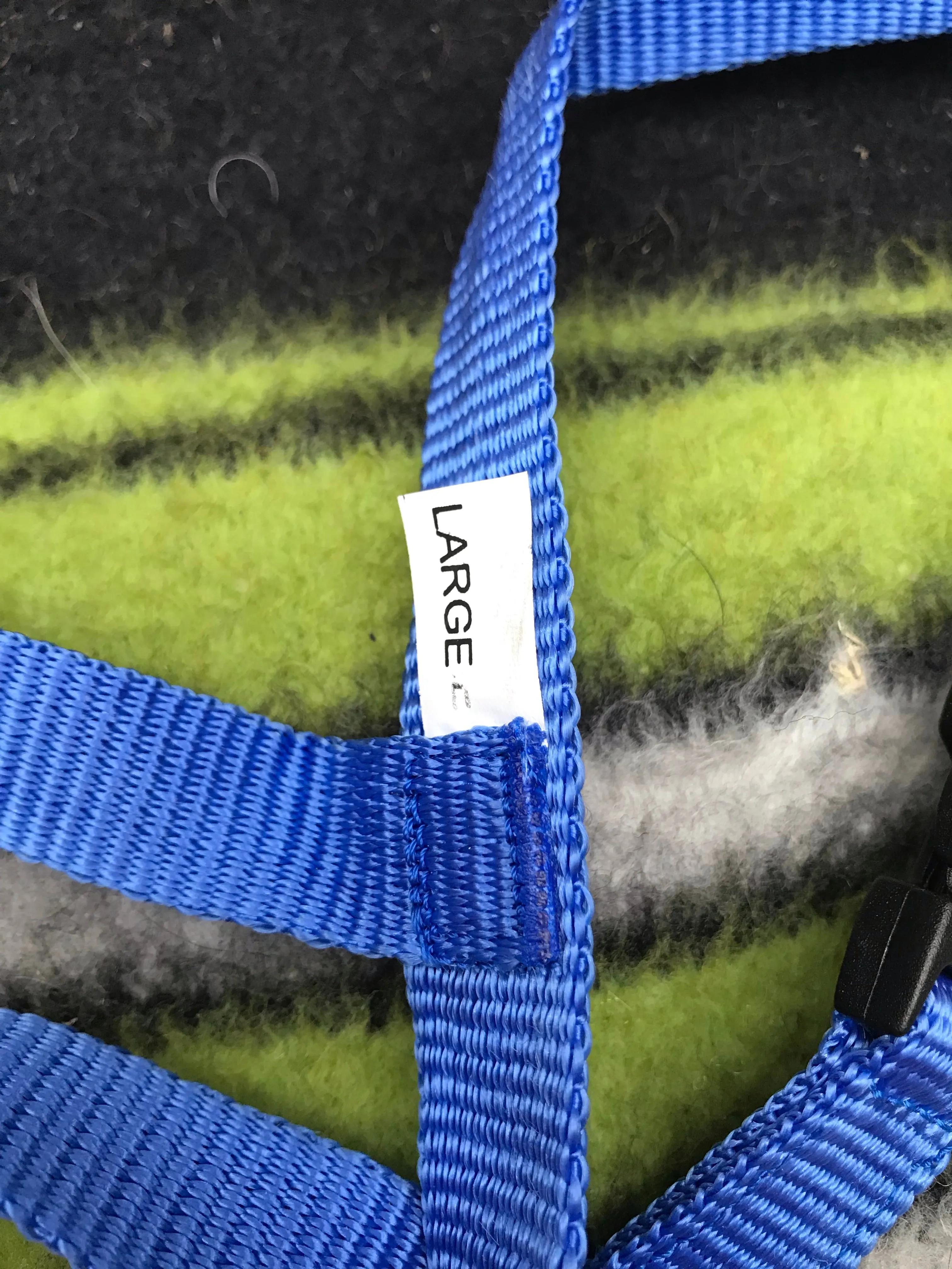 new elico large foal slip FREE POSTAGE