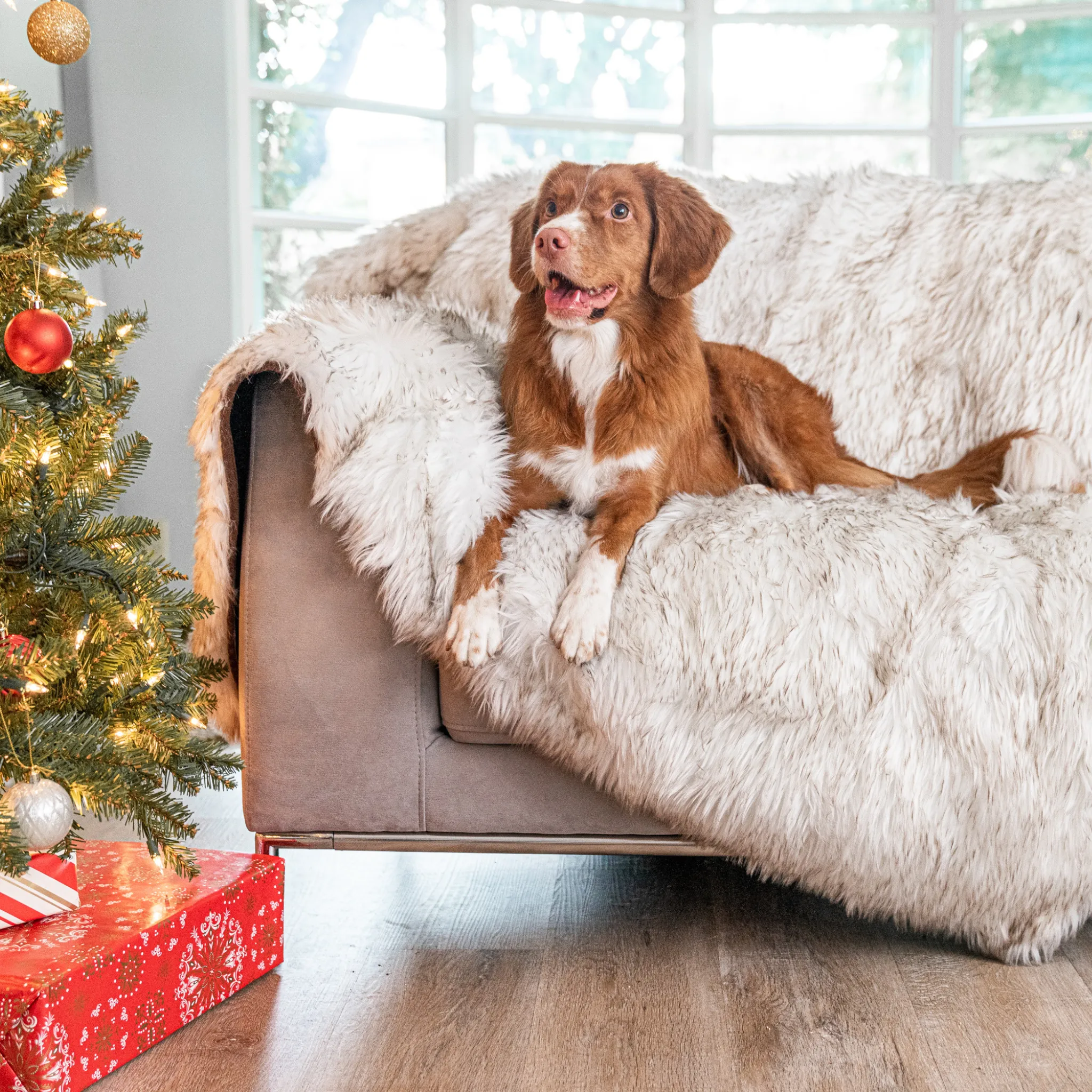 PupProtector™ Waterproof Throw Blanket - White with Brown Accents