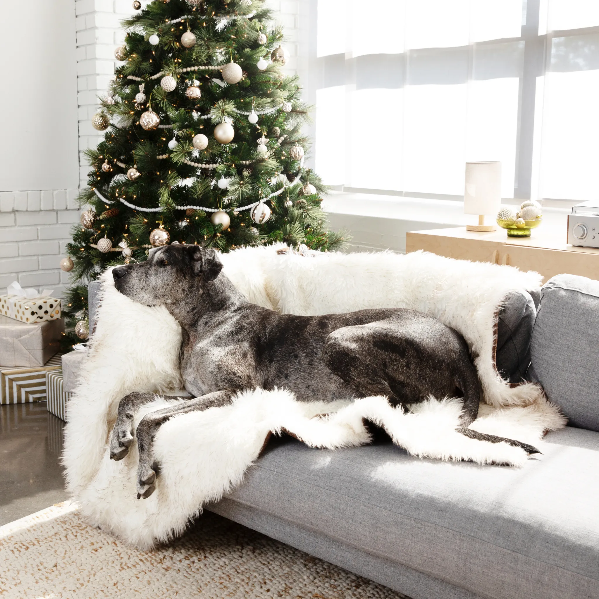 PupProtector™ Waterproof Throw Blanket - White with Brown Accents