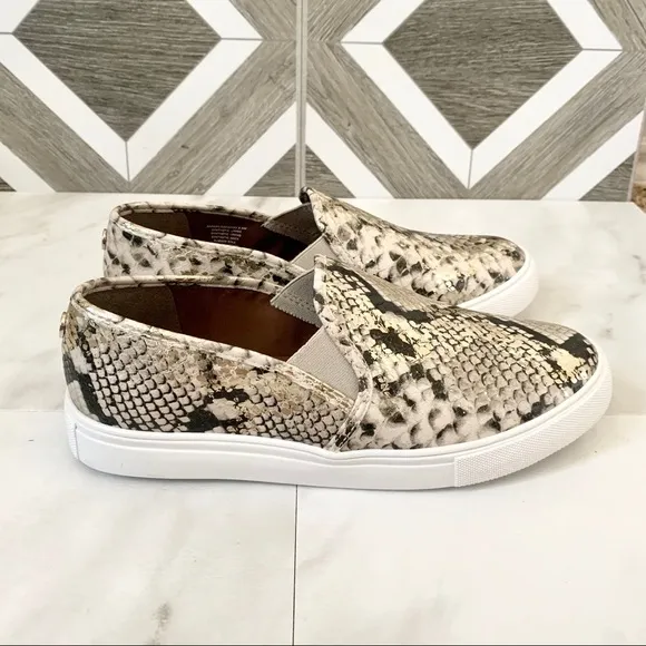 Steve Madden snake skin print sneakers size 8.5