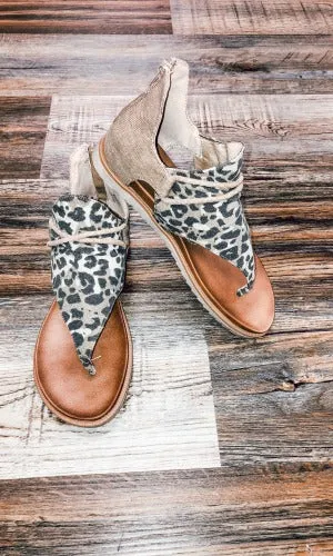 The Sparta- Leopard