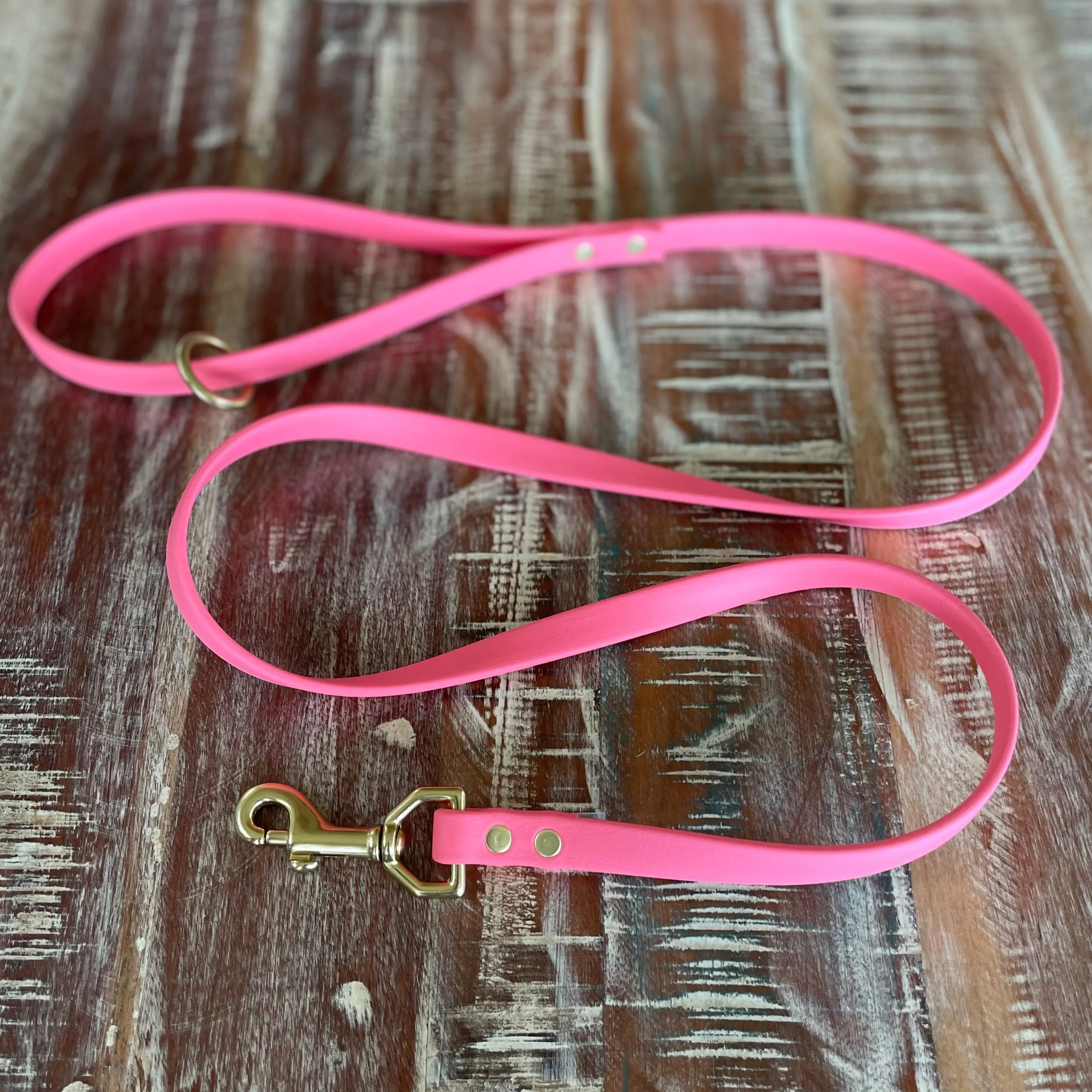 Waterproof Leash : Coral   Brass