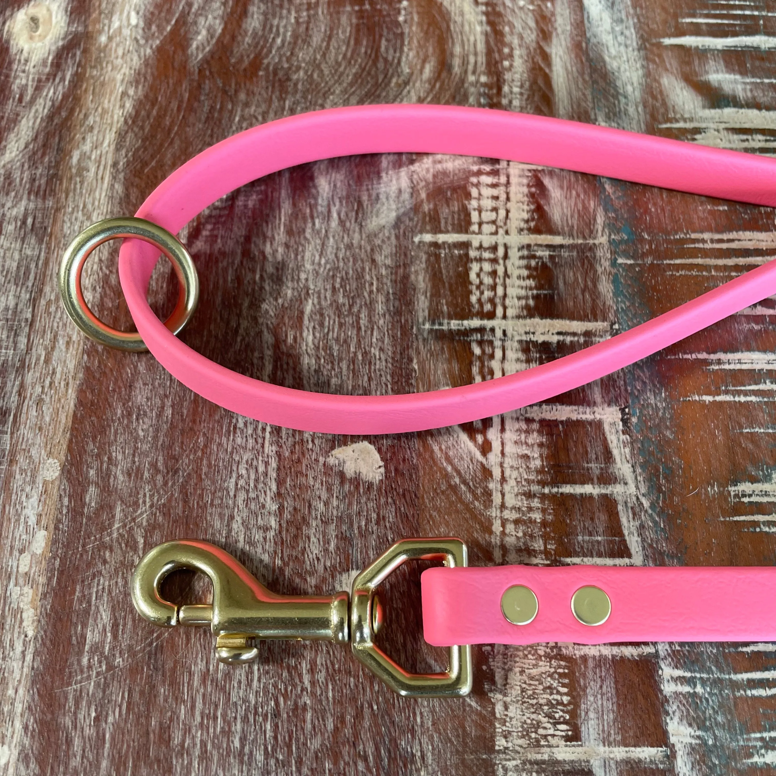 Waterproof Leash : Coral   Brass
